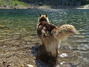 52 Bello stare nell'acqua fresca col sole a picco!